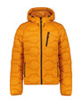 Мужская утепленная весенне-осенняя куртка Icepeak BRANCH, оранжевая
