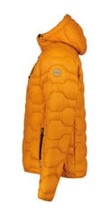 Icepeak мужская утепленная куртка весенне-осенняя BRANCH, терракота цена и информация | Icepeak Для мужчин | hansapost.ee