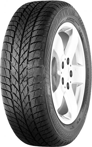 Paxaro INVERNO 245/45R18 100 V XL FR hind ja info | Talverehvid | hansapost.ee