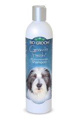 Šampoon Bio Groom Groom'n Fresh, 355 ml цена и информация | Косметические средства для животных | hansapost.ee