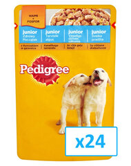 Консервы для щенков Pedigree Junior с курицей 24 x 100 г  цена и информация | Консервы для собак | hansapost.ee