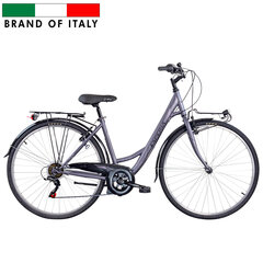 Городской велосипед ESPERIA 28" Devon (226500D) серый/фиолетовый (18") цена и информация | Велосипеды | hansapost.ee