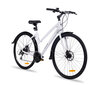 Jalgratas Insera Hybrid Evo N, 48 cm, valge hind ja info | Jalgrattad | hansapost.ee