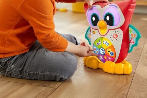 Muusikaline interaktiivne öökull Fisher Price Pupū HNK87 hind ja info | Arendavad laste mänguasjad | hansapost.ee