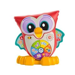 Музыкальная интерактивная сова Fisher Price Pupū HNK87 цена и информация | Развивающие игрушки для детей | hansapost.ee