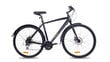 Jalgratas Insera Hybrid Evo M, 52 cm, must цена и информация | Jalgrattad | hansapost.ee