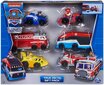 6 mini sõidukit True Metal Paw Patrol hind ja info | Mänguasjad poistele | hansapost.ee