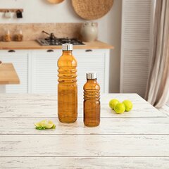 бутылка Quid Fresh Янтарь С облегчением Cтекло (500 ml) цена и информация | Quid Кухонные товары, товары для домашнего хозяйства | hansapost.ee