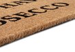 Uksematt Hanse Home Mix Mats Cocos 45x75 cm цена и информация | Uksematid | hansapost.ee