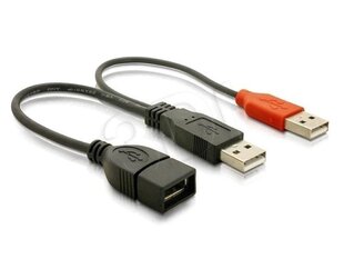 Delock - Удлинитель USB 2.0 2xA(M)-A(F) цена и информация | USB накопители данных | hansapost.ee