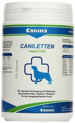 Canina таблетки Canilleten N500, 1000 г цена и информация | Пищевые добавки и анти-паразитные товары | hansapost.ee
