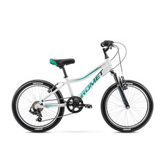 Laste jalgratas Romet Rambler KID 2, 20 tolli (2023) price and information | Bicycles | hansapost.ee