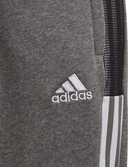 Dressipüksid Adidas Junior, 176 cm цена и информация | Футбольная форма и другие товары | hansapost.ee