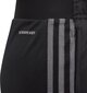 3/4 Adidas Tiro püksid lastele, 176 cm цена и информация | Jalgpalli varustus ja riided | hansapost.ee
