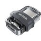 SanDisk SDDD3-256G-G46 hind ja info | Mälupulgad | hansapost.ee