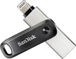 SanDisk SDIX60N-128G-GN6NE hind ja info | Mälupulgad | hansapost.ee