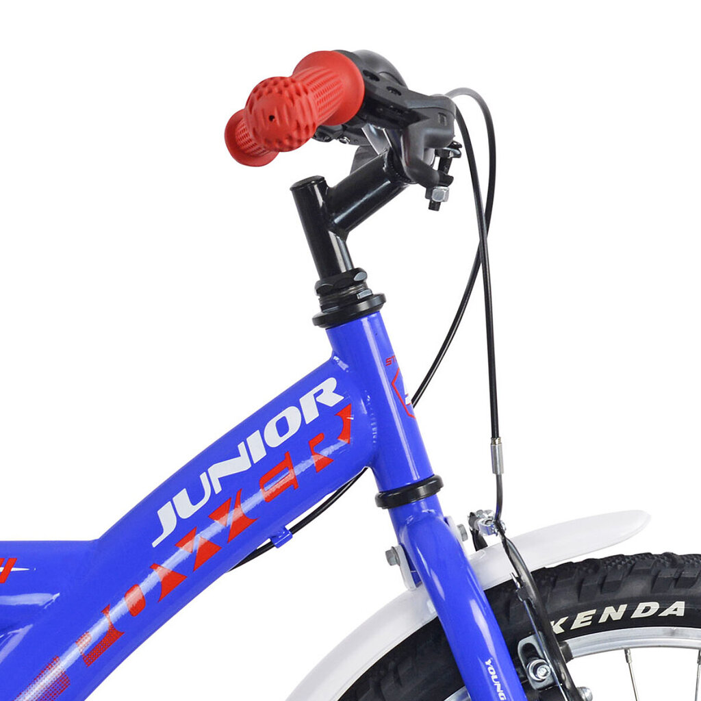 Laste jalgratas Stucchi 20 Junior (19S640) sinine hind ja info | Jalgrattad | hansapost.ee