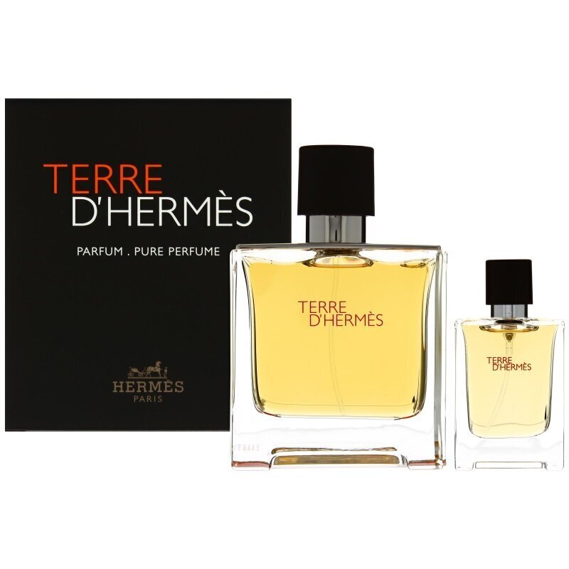 Kinkekomplekt meestele: Hermes Men's Terre D'Hermes EDP: 75 ml + 12,5 ml. цена и информация | Parfüümid meestele | hansapost.ee