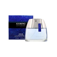 Meeste parfümeeria Iceberg EDT Effusion Man (75 ml) hind ja info | Iceberg Parfüümid | hansapost.ee