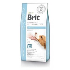 Brit GF Veterinary Diets täiskasvanud koertele koos lambaliha ja hernestega Obesity, 12 kg price and information | Dry dog food and crisps | hansapost.ee