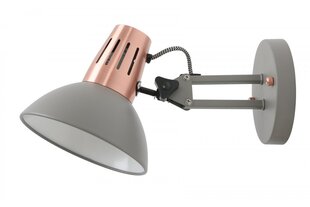 Настенный светильник Artemia 2164 цена и информация | Настенные светильники | hansapost.ee