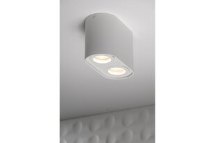 Потолочный светильник GTV Senso Duo цена и информация | Потолочные светильники | hansapost.ee