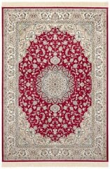 Hanse Home vaip Nouristan Naveh 160x230 cm hind ja info | Vaibad | hansapost.ee