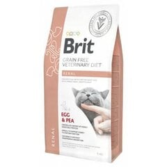 Kuivtoit Brit GF Veterinary Diets täiskasvanud kassidele muna ja hernestega Renal, 5 kg цена и информация | Сухой корм для кошек | hansapost.ee