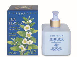 Очищающий гель для лица и рук L'Erbolario Tea Leaves 250 мл цена и информация | Мыло | hansapost.ee