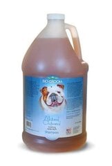 Bio Groom šampoon Natural Oatmeal, 3,8 l price and information | For grooming | hansapost.ee