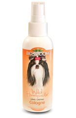 Bio Groom lagritsa aroomiga lõhn 118 ml hind ja info | Bio Groom Lemmikloomatarbed | hansapost.ee