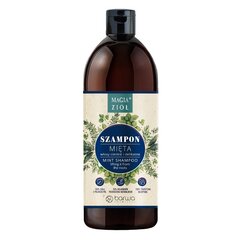 Шампунь для волос Barwa Magic of Herbs Mint, 450 мл цена и информация | Шампуни | hansapost.ee