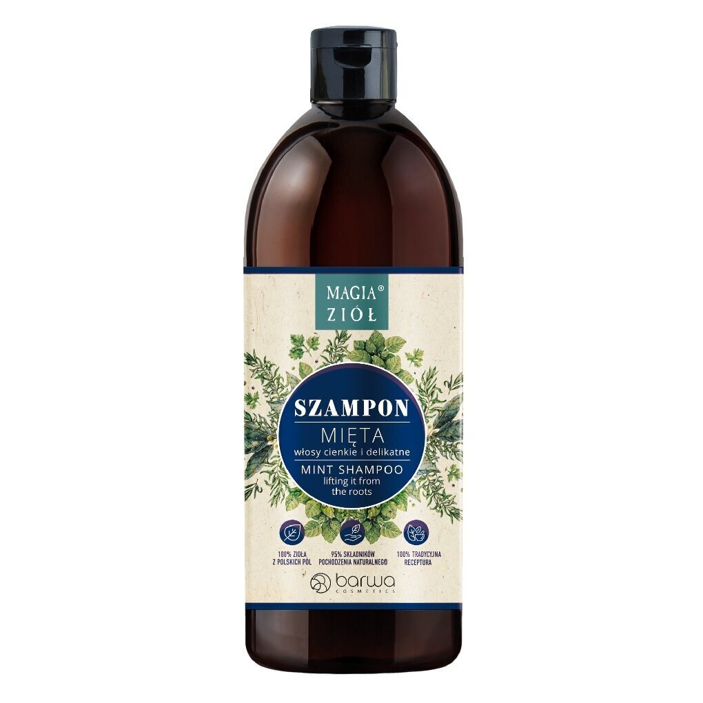 Juuksešampoon Barwa Magic of Herbs Mint, 450ml цена и информация | Šampoonid | hansapost.ee