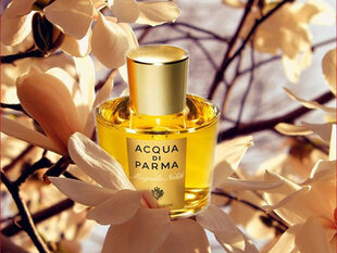 Гель для душа Acqua Di Parma Magnolia Nobile, 200 мл цена и информация | Парфюмированная косметика для женщин | hansapost.ee