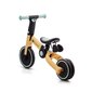 Kolmerattaline 3in1 Kinderkraft 4Trike, kuldne/sinine hind ja info | Kolmerattalised jalgrattad lastele | hansapost.ee