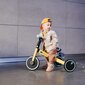 Kolmerattaline 3in1 Kinderkraft 4Trike, kuldne/sinine hind ja info | Kolmerattalised jalgrattad lastele | hansapost.ee