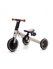 Трехколесный велосипед 3в1 Kinderkraft 4Trike, серый цвет цена и информация | Трехколесные велосипеды | hansapost.ee