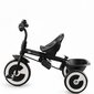 Kolmerattaline multifunktsionaalne ratas Kinderkraft Aston, hall цена и информация | Kolmerattalised jalgrattad lastele | hansapost.ee