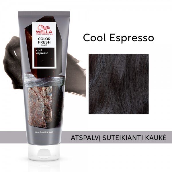 Toniseeriv juuksemask Wella Professionals Color Fresh Mask, Cool Espresso, 150ml цена и информация | Juuksemaskid, õlid ja seerumid | hansapost.ee