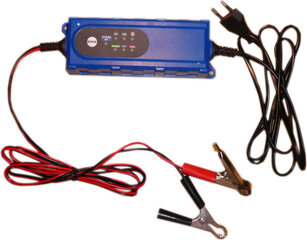 Зарядное устройство DFA-38 цена и информация | Зарядные устройства для аккумуляторов | hansapost.ee