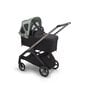 Bugaboo Dragonfly päikesevari lapsevankrile, Pine Green цена и информация | Lapsevankrite tarvikud | hansapost.ee