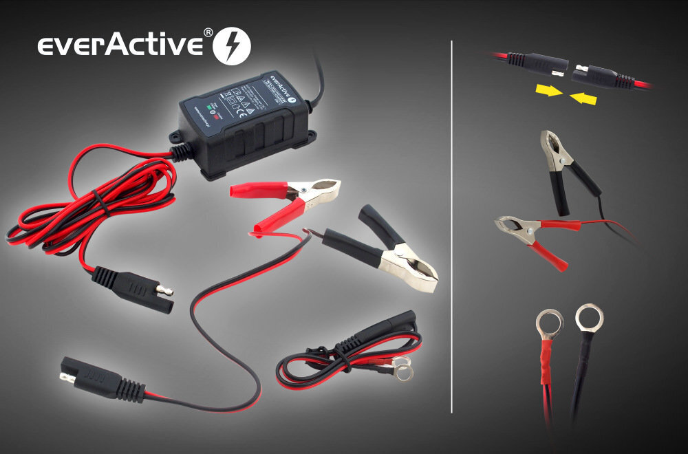 Akulaadija everActive CBC-1 6/12V, 1000mA hind ja info | Auto akulaadijad | hansapost.ee