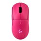 Arvutihiir Logitech Prox Superlight, roosa hind ja info | Arvutihiired | hansapost.ee