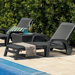 Пляжный стул Майами серый цена и информация | Садовые стулья, кресла, пуфы | hansapost.ee