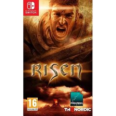 Mäng Risen Nintendo Switch/Lite цена и информация | Компьютерные игры | hansapost.ee