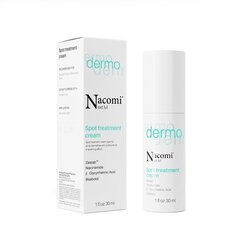 Крем против несовершенств кожи Nacomi Next Level Dermo, 30 мл цена и информация | Nacomi Духи, косметика | hansapost.ee