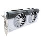 Asus Dual GeForce RTX 4070 White OC Edition 12GB GDDR6X (DUAL-RTX4070-O12G-WHITE) цена и информация | Videokaardid | hansapost.ee