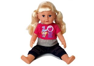 Кукла с аксессуарами Lean Toys, розовая цена и информация | Игрушки для девочек | hansapost.ee