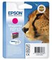 Epson C13T07134011 цена и информация | Tindiprinteri kassetid | hansapost.ee