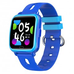 Denver SWK-110 Blue цена и информация | Смарт-часы (smartwatch) | hansapost.ee